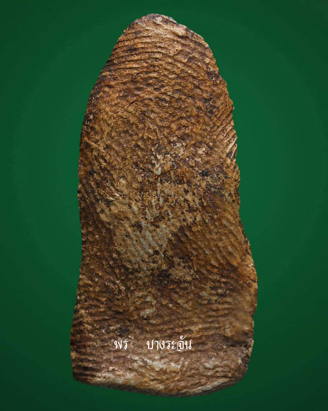 其中拍洛 (Phra Rod)造型佛牌, 在泰國北部的喃奔府 (Lamphun)的 Wat Mahawan