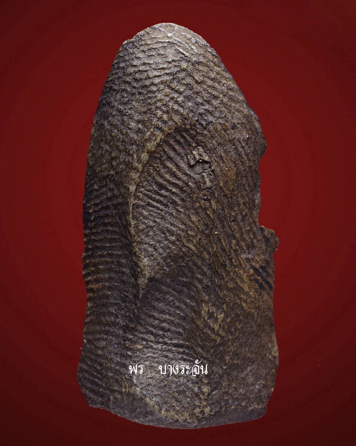 其中拍洛 (Phra Rod)造型佛牌, 在泰國北部的喃奔府 (Lamphun)的 Wat Mahawan