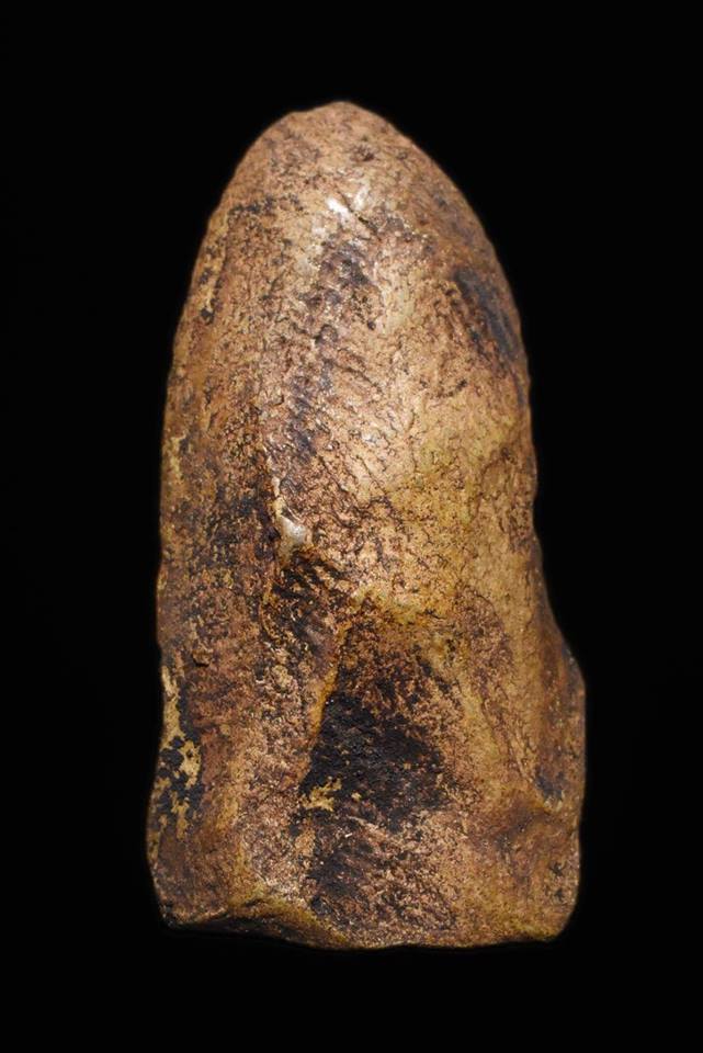 其中拍洛 (Phra Rod)造型佛牌, 在泰國北部的喃奔府 (Lamphun)的 Wat Mahawan