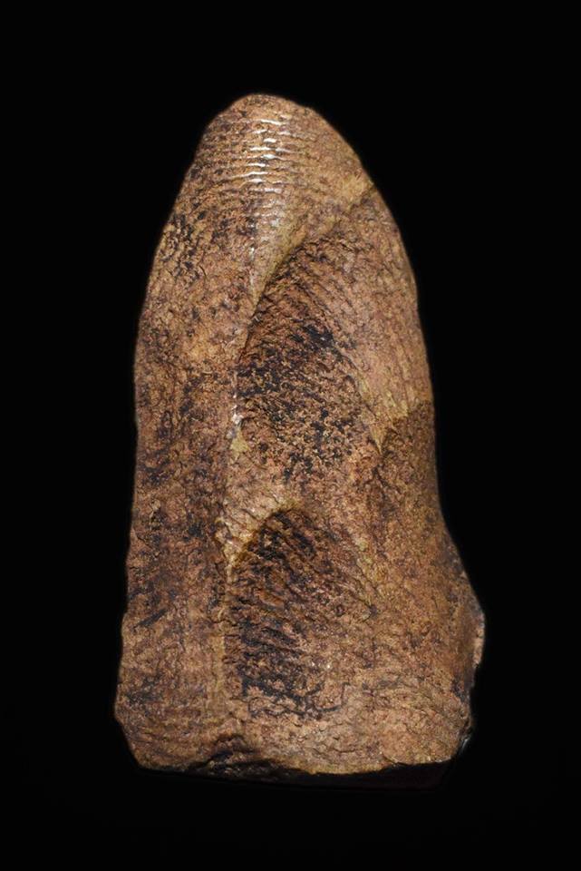 其中拍洛 (Phra Rod)造型佛牌, 在泰國北部的喃奔府 (Lamphun)的 Wat Mahawan