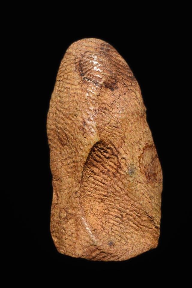 其中拍洛 (Phra Rod)造型佛牌, 在泰國北部的喃奔府 (Lamphun)的 Wat Mahawan
