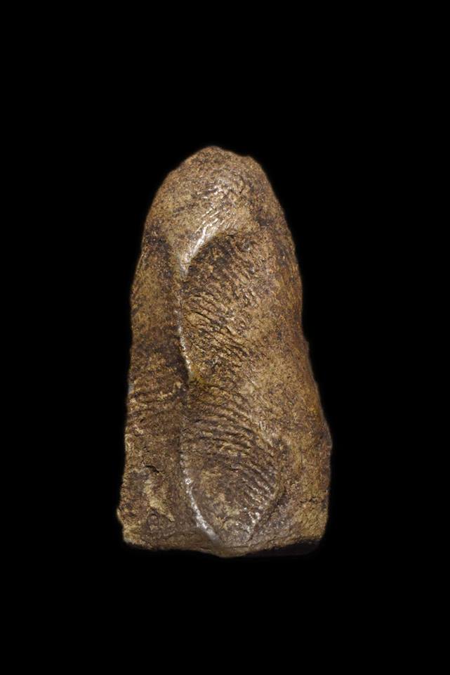 其中拍洛 (Phra Rod)造型佛牌, 在泰國北部的喃奔府 (Lamphun)的 Wat Mahawan