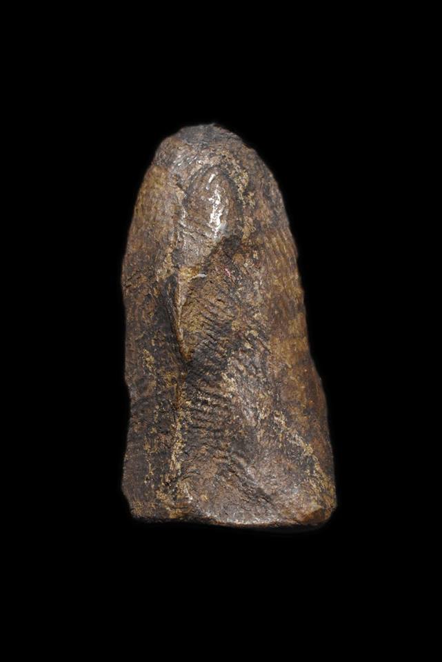 其中拍洛 (Phra Rod)造型佛牌, 在泰國北部的喃奔府 (Lamphun)的 Wat Mahawan