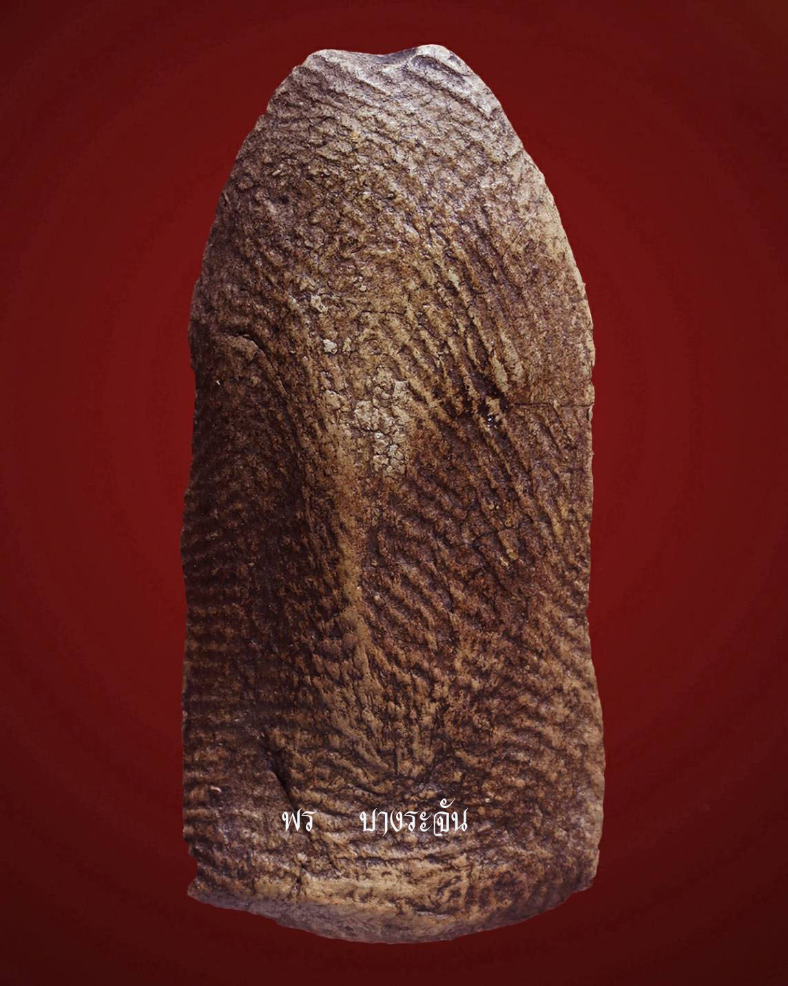 其中拍洛 (Phra Rod)造型佛牌, 在泰國北部的喃奔府 (Lamphun)的 Wat Mahawan