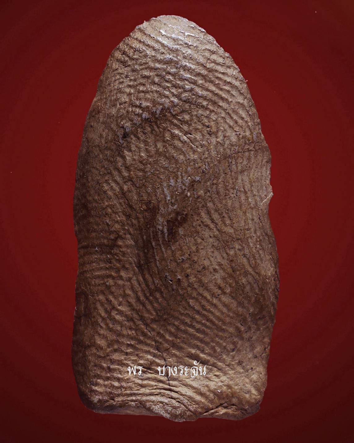 其中拍洛 (Phra Rod)造型佛牌, 在泰國北部的喃奔府 (Lamphun)的 Wat Mahawan