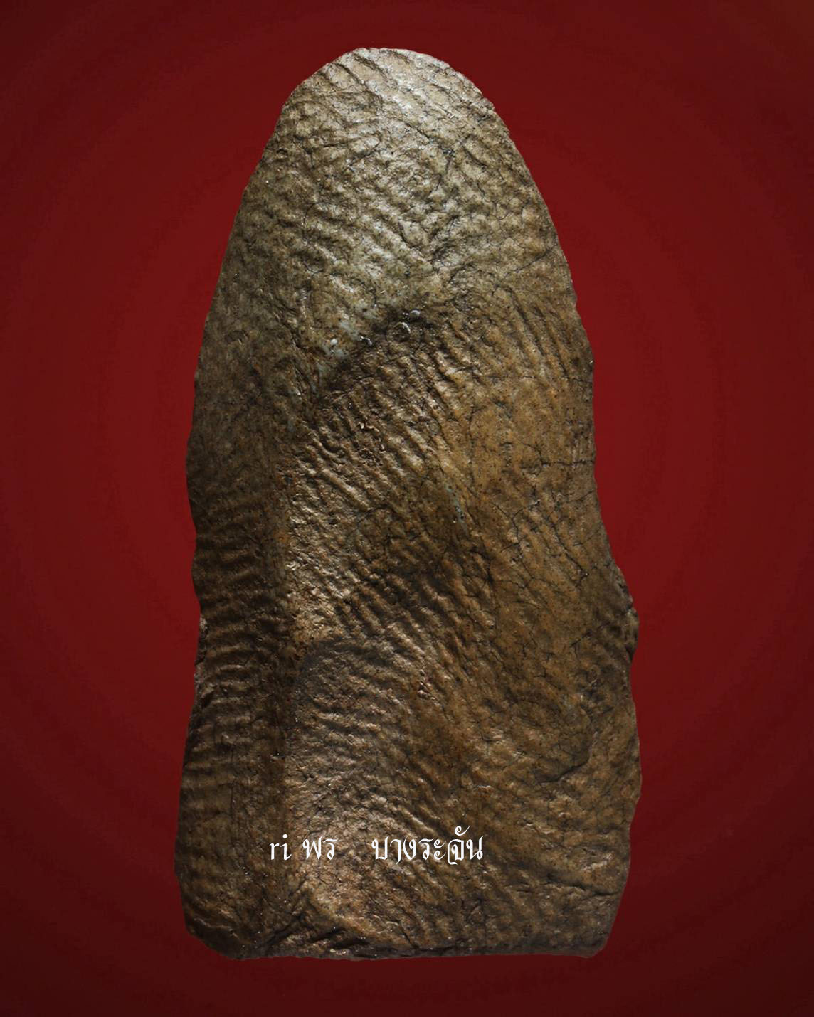 其中拍洛 (Phra Rod)造型佛牌, 在泰國北部的喃奔府 (Lamphun)的 Wat Mahawan