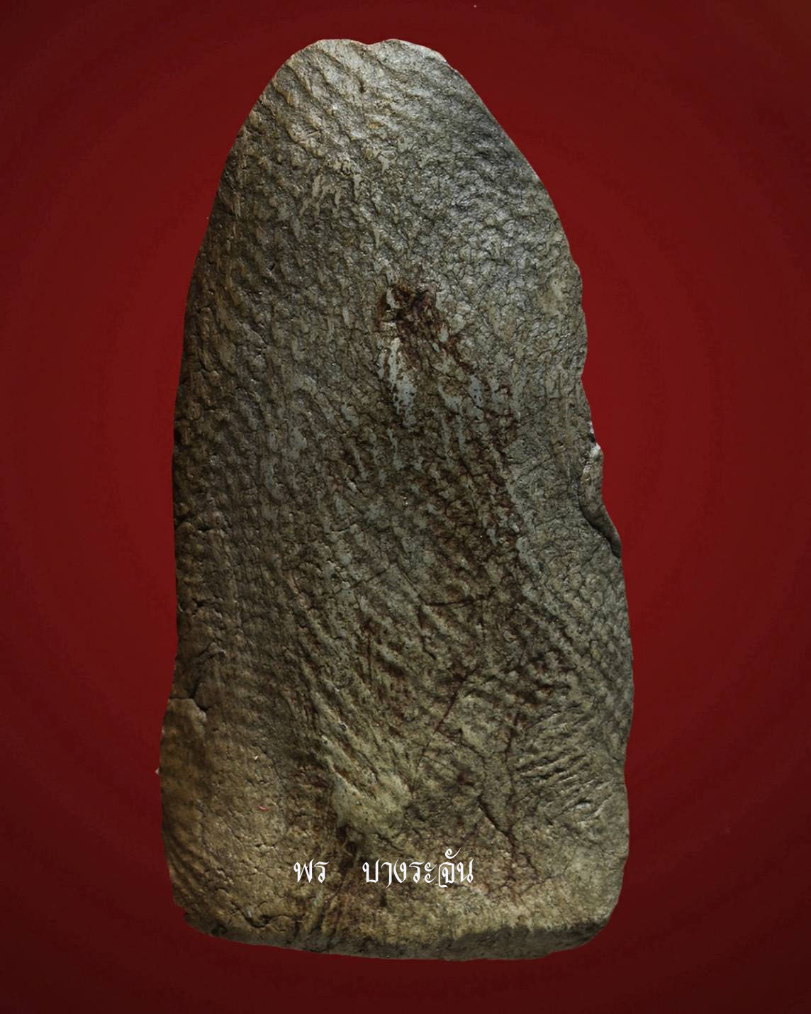 其中拍洛 (Phra Rod)造型佛牌, 在泰國北部的喃奔府 (Lamphun)的 Wat Mahawan
