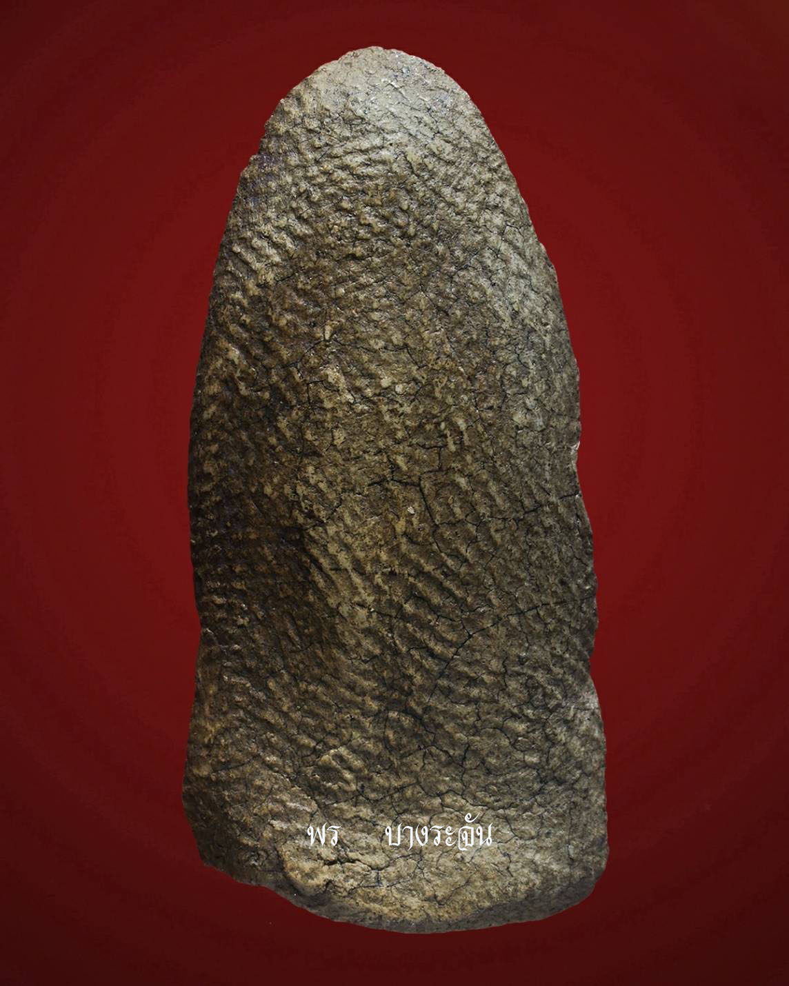 其中拍洛 (Phra Rod)造型佛牌, 在泰國北部的喃奔府 (Lamphun)的 Wat Mahawan