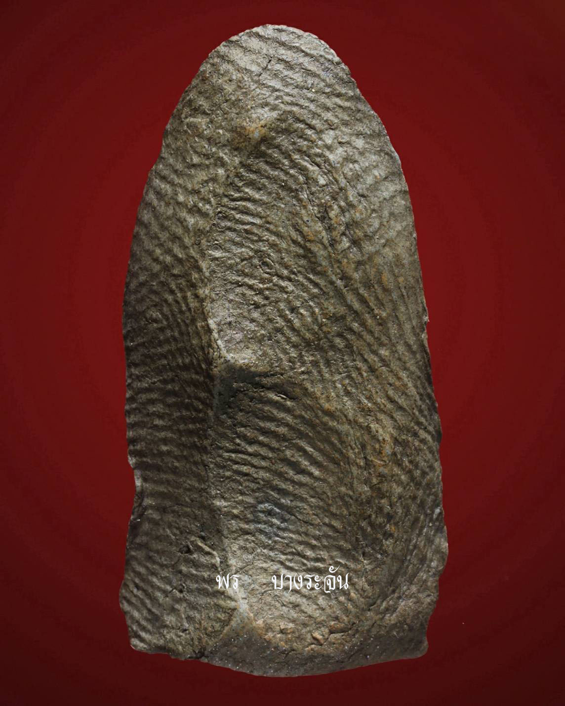 其中拍洛 (Phra Rod)造型佛牌, 在泰國北部的喃奔府 (Lamphun)的 Wat Mahawan