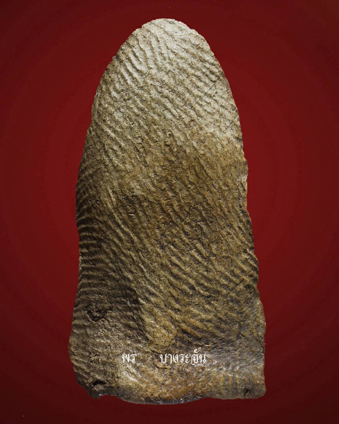 其中拍洛 (Phra Rod)造型佛牌, 在泰國北部的喃奔府 (Lamphun)的 Wat Mahawan