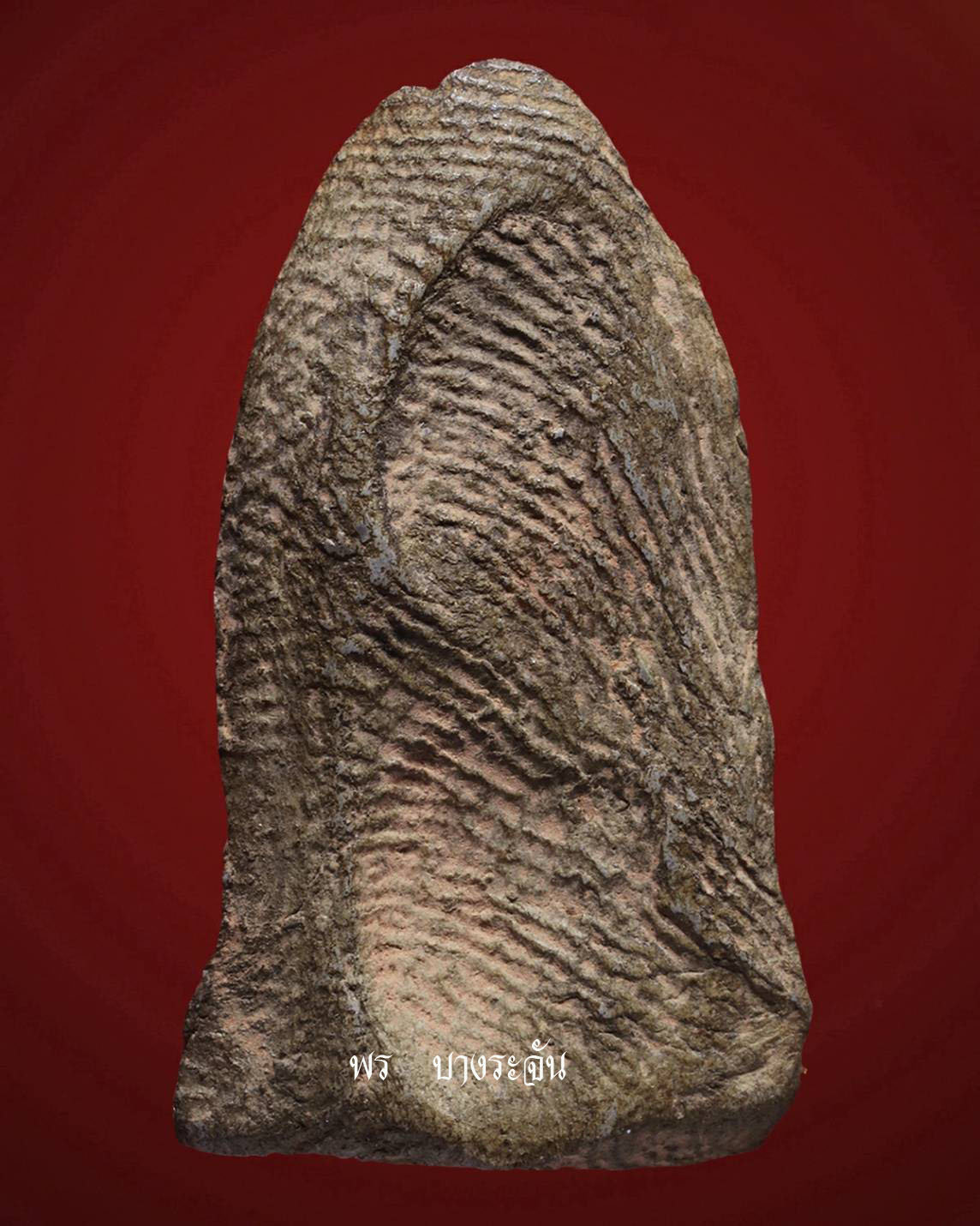 其中拍洛 (Phra Rod)造型佛牌, 在泰國北部的喃奔府 (Lamphun)的 Wat Mahawan