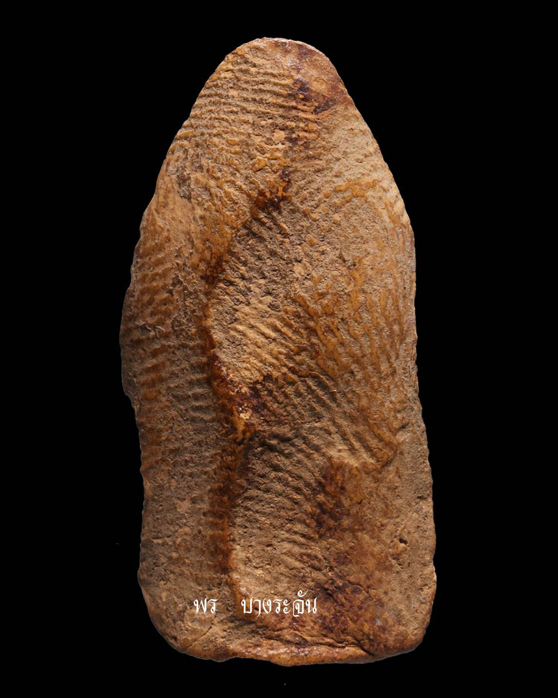 其中拍洛 (Phra Rod)造型佛牌, 在泰國北部的喃奔府 (Lamphun)的 Wat Mahawan
