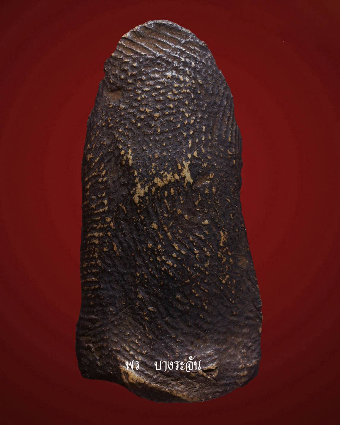 其中拍洛 (Phra Rod)造型佛牌, 在泰國北部的喃奔府 (Lamphun)的 Wat Mahawan