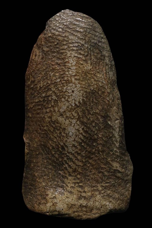 其中拍洛 (Phra Rod)造型佛牌, 在泰國北部的喃奔府 (Lamphun)的 Wat Mahawan