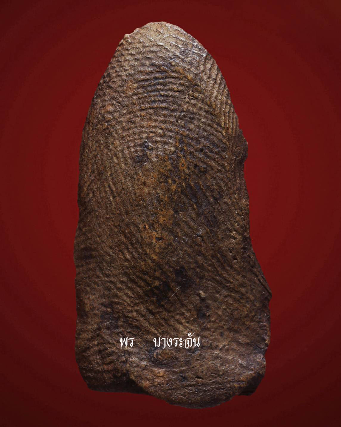 其中拍洛 (Phra Rod)造型佛牌, 在泰國北部的喃奔府 (Lamphun)的 Wat Mahawan