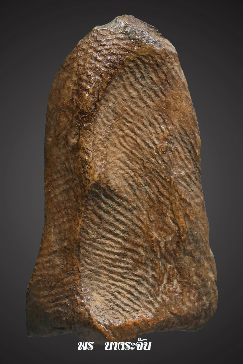 其中拍洛 (Phra Rod)造型佛牌, 在泰國北部的喃奔府 (Lamphun)的 Wat Mahawan