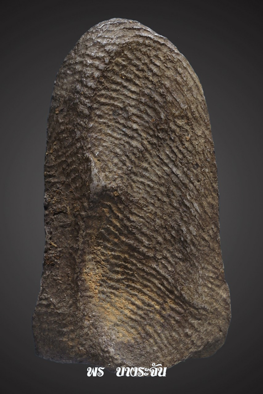 其中拍洛 (Phra Rod)造型佛牌, 在泰國北部的喃奔府 (Lamphun)的 Wat Mahawan